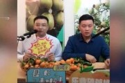 胖子娱乐吃瓜厅,揭秘娱乐圈幕后故事，带你领略明星们的真实生活